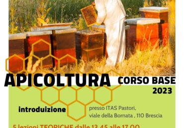 Corso base di apicoltura – 2023