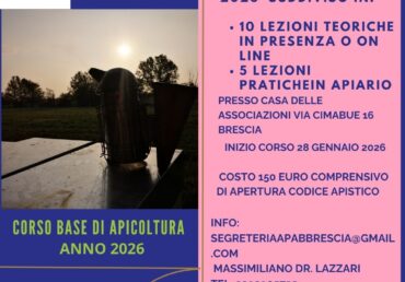 Corso base di apicoltura – 2026